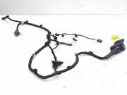 Türverkabelung hinten rechts