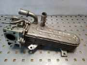 Abgaskühler Seat Leon (1P) 038131513AD