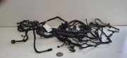 Motor Kabelbaum OPEL VIVARO C VIVARO-E 2D213884