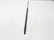Heckklappe Gasdruckfeder rechts RENAULT KANGOO / GRAND KANGOO (KW0/1_) 1.5 dCi 110 8200497806
