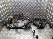 Motor Kabelbaum BMW 1 (E87) 118 d 780216905 758019613