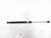 Gasfeder für Motorhaube Lexus CT ()