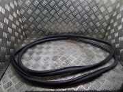 Türgummi links hinten Toyota Prius Plus (W4)