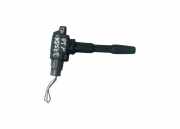 Zündspule Nissan Qashqai II (J11) 224332428R