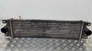 Ladeluftkühler OPEL MOVANO Furgon (F9) 1.9 DTI 859923X