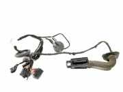 Türverkabelung hinten links AUDI A5 Sportback (8TA) 2.0 TDI 8T8971688J