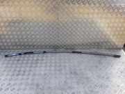 Dachleiste links CITROËN C4 II (B7) 1.6 VTi 120 380962 96521014XT