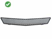 Frontstoßstangengittersatz MERCEDES-BENZ R (W251, V251) R 350 CDI 4-matic (251.023, 251.123) A2518850953