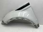 Kotflügel vorne links LAND ROVER RANGE ROVER EVOQUE Cabrio (L538) 2.0 D 4x4