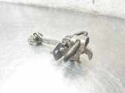 Türanschlag hinten links