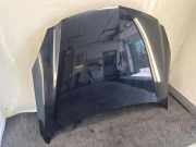 Motorhaube OPEL INSIGNIA A (G09) 2.0 CDTI (68) Z22C
