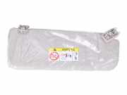 Rechte Sonnenblende PEUGEOT EXPERT Furgon 2.0 BlueHDi 120 98094983BJ