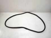 Türgummi rechts vorne BMW X3 (F25) 7396554