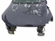 Motorhaube CHEVROLET CAPTIVA (C100, C140) 2.2 D 4WD
