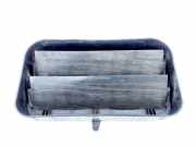 Ziergitter Citroen DS4 (NX) 9658246080