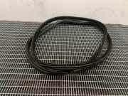 Türgummi links hinten BMW 5er (F10)