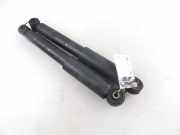 Stoßdämpfer hinten rechts FIAT PANDA (169_) 1.2 50703895