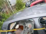 Dach VW GOLF VII (5G1, BQ1, BE1, BE2) 1.0 TSI