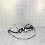 Türverkabelung hinten rechts VW ID.3 (E11) Pro 2043404896 8U0959845A