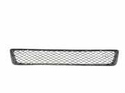 Kühlergrill unten BMW X5 (E70) 7222854