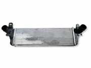 Ladeluftkühler VW TRANSPORTER V (T5) Flatbed 2.0 BiTDI 4motion 7E0145804A
