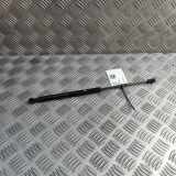 Heckklappe Gasdruckfeder links AUDI A5 (F53) 35 TFSI Mild Hybrid 8W6827919