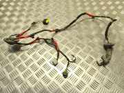 Türverkabelung hinten links HYUNDAI SONATA V (NF) 2.4 919803K050