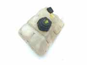 AUSGLEICHSBEHÄLTER KÜHLWASSER RENAULT MEGANE IV Grandtour (K9A/M_) 1.2 TCe 130 217104048R