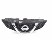 Vorderer oberer Gitter NISSAN QASHQAI II (J11, J11_) 1.5 dCi 623124EA0D