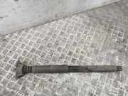 Pneumo-Stoßdämpfer hinten links FORD C-MAX (DM2) 2.0 TDCi