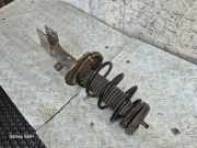 Stoßdämpfer vorne links