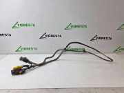Andere Röhren NISSAN NV300 Furgon (X82) 1.6 dci 120 204204152R