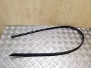 Türgummi links vorne Opel Zafira Tourer C (P12) 13292216