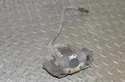 Bremssattel links hinten Jeep Grand Cherokee IV (WK, WK2)