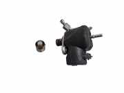 Kraftstoffpumpe Citroen C4 II Picasso () 3006348662