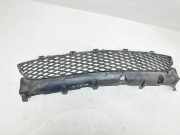 Kühlergrill unten Mazda 3 (BM, BN) BP4K501T1
