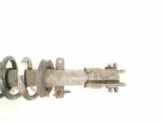 Stoßdämpfersatz Vorderachse Renault Trafic II Kasten (FL)