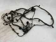 SONSTIGE KABELBÄUME VOLVO S60 III (224) 2.0 T6 32224467