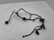 Türverkabelung hinten links FORD GRAND C-MAX (DXA/CB7, DXA/CEU) 2.0 TDCi AV6T14240