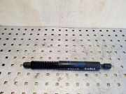 Heckklappe Gasdruckfeder links BMW 5 (F10) 520 d 1312120425N