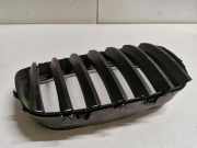 Gitter Grill vorne links BMW X5 (E70) xDrive 30 d 7171396