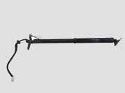 Heckklappe Gasdruckfeder rechts TOYOTA RAV 4 V (XA50) FWD LE 2.5 6891042060