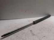 Heckklappe Gasdruckfeder rechts FORD C-MAX (DM2) 1.6 A406A10BB