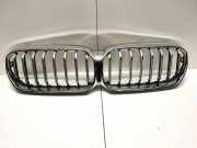 Vorderer oberer Gitter BMW 5 (G30) 530 d 9464218