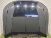 Motorhaube AUDI A4 (8K2, B8) 2.0 TDI COLORLY9B