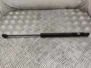 Heckklappe Gasdruckfeder links MERCEDES-BENZ B (W245) B 180 CDI (245.207) A16998007064