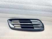 Gitter vorne unten BMW 5 Touring (F11) 520 d xDrive 7331734