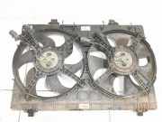 Kühlmodul Renault Koleos I (HY) 17095500