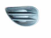 Gitter vorne unten TOYOTA YARIS (_P9_) 1.4 D-4D (NLP90_)