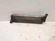 Ladeluftkühler RENAULT SCÉNIC II (JM0/1_) 1.9 dCi (JM0G, JM12, JM1G, JM2C) 0031114 E2443